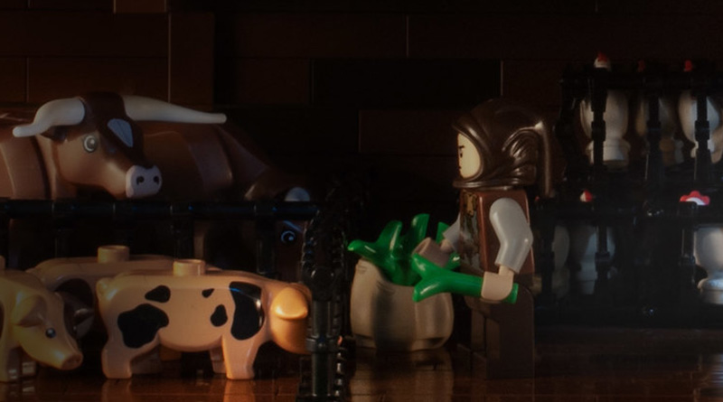Brick Pic of the Day: Below deck