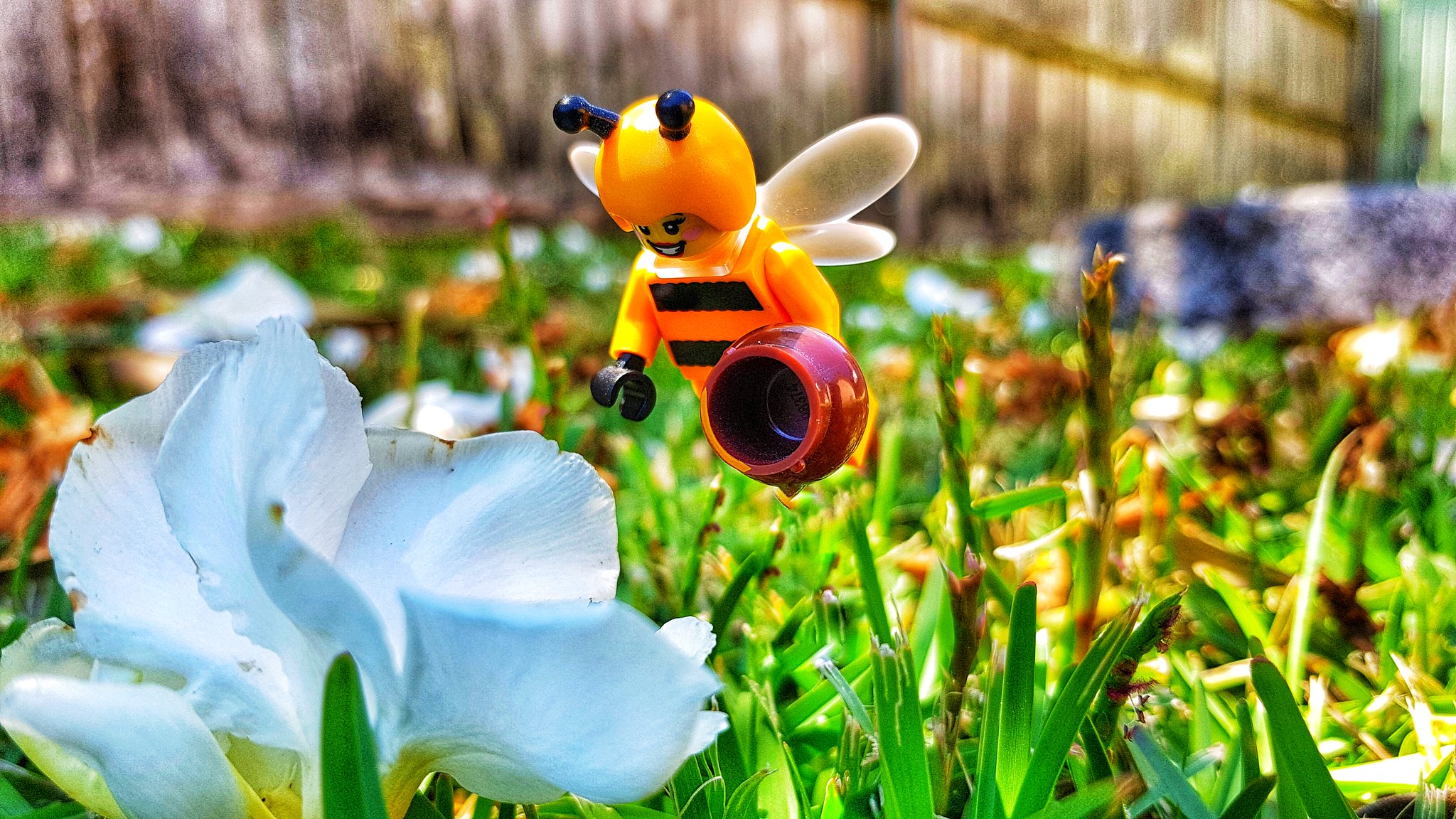 Brick Pic of the Day: Summer days