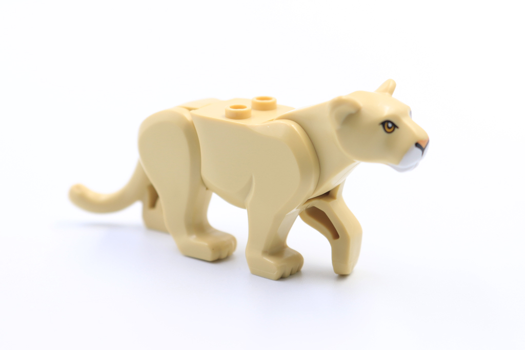 Lioness2