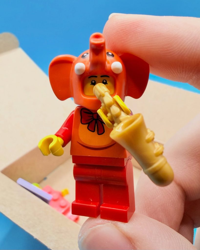 twogayafols lego BAM birthday january 2025 instagram 1 819x1024