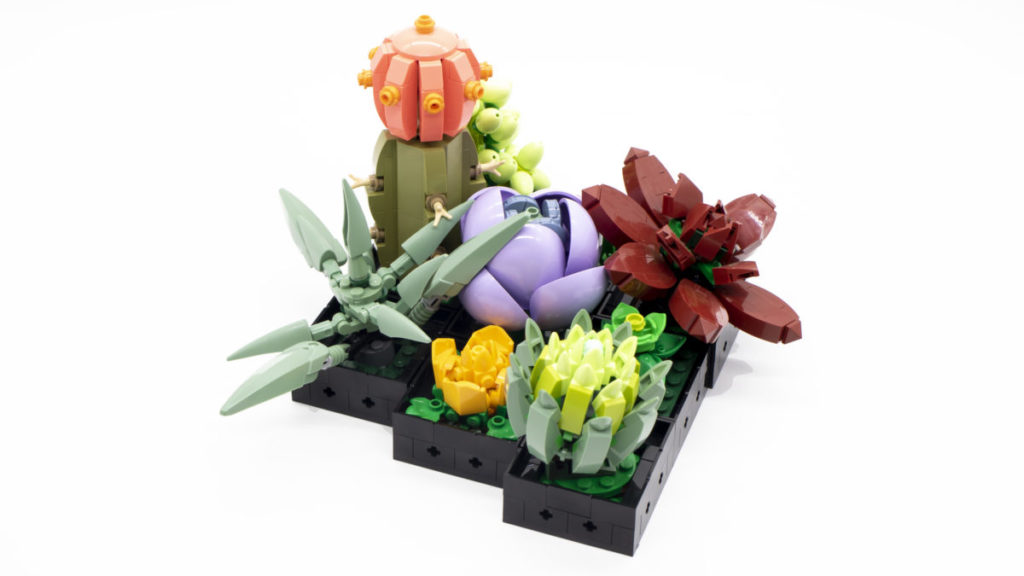 LEGO The Botanical Collection 10309 Succulents 13 1024x576